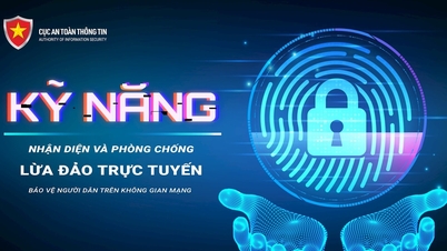 Identificarea și prevenirea fraudelor online în spațiul cibernetic