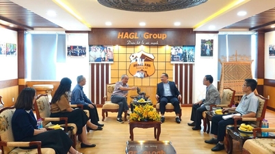 Leder av Gia Lai provinsielle folkekomité besøkte og jobbet med Hoang Anh Gia Lai-gruppen