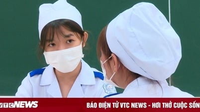Какие университеты будут набирать дополнительных студентов для медицинской и фармацевтической отрасли в 2024 году?