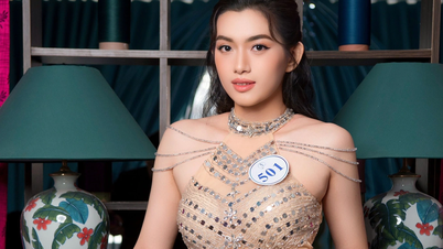 Warum haben die Top 15 Miss Ocean 2023 beschlossen, der Armee beizutreten?