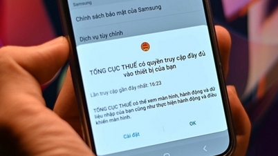 التطبيقات المزيفة والاحتيال عبر الإنترنت