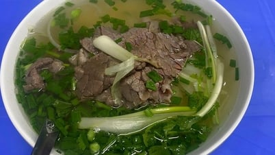 International newspapers praise the diverse variations of Vietnamese pho