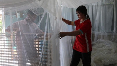 Raising silkworms with mosquito nets, farmers leisurely earn millions every day
