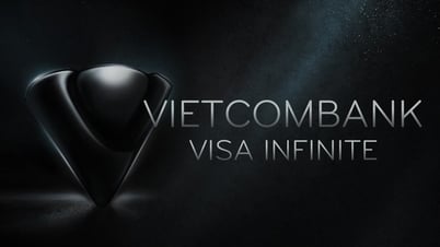 THĂNG HẠNG TRẢI NGHIỆM SỐNG TINH HOA CÙNG THẺ VIETCOMBANK VISA INFINITE