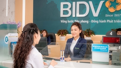 Dòng ngân hàng và chứng khoán bứt phá, VN-Index tăng hơn 12 điểm
