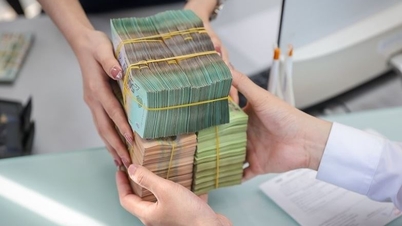Đẩy mạnh giải ngân gói tín dụng 30 nghìn tỷ đồng cho lâm, thủy sản