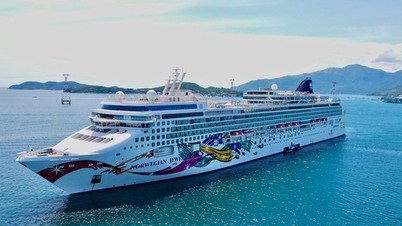 Le port de Cam Ranh élimine les difficultés pour accueillir les navires de croisière internationaux