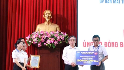Ho Chi Minh City press agencies support northern compatriots with tens of billions of dong