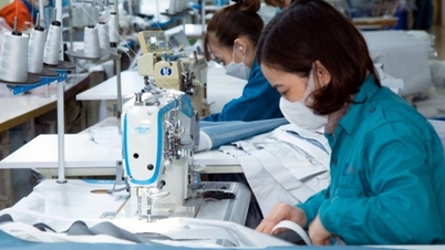 Dệt may sẽ đạt mục tiêu xuất khẩu 44 tỷ USD?