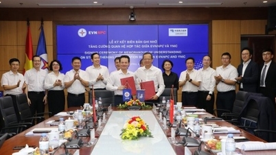 EVNNPC continues to buy electricity from YNIC for the North