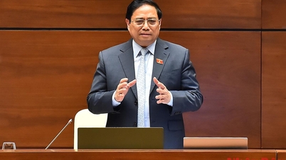 （ライブ）首相が質問に答える