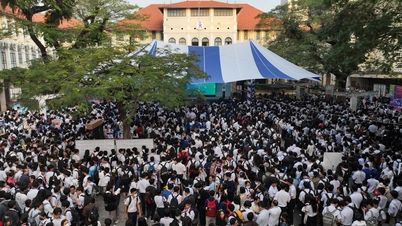 Nearly 2,200 students in Ho Chi Minh City compete in solving math problems on handheld calculators