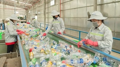 Lần đầu công bố đơn vị tái chế sản phẩm, bao bì