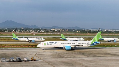 Bamboo Airways официально закрывает прямые рейсы в Ханой