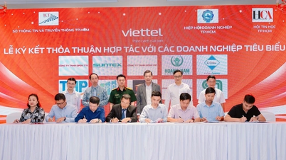 Viettel TP.HCM hỗ trợ doanh nghiệp chuyển đổi số miễn phí
