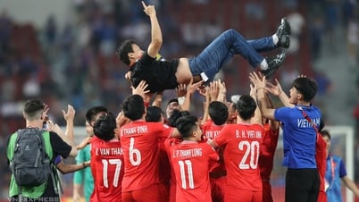 Overcoming Thailand, Vietnam won the AFF Cup 2024