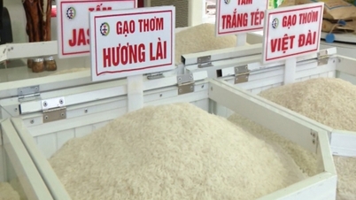 Giá xuất khẩu đảo chiều, gạo Việt vuột "ngôi vương" về tay Pakistan