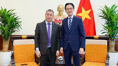 Bhutan proposes to facilitate direct flights to Vietnam