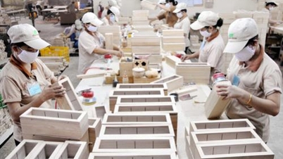 Gỗ Đức Thành (GDT) lợi nhuận giảm 56% chi gần 22 tỷ đồng để trả cổ tức