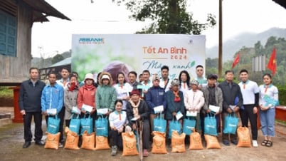 Tết An Bình 2024 ABBANK gây quỹ tài trợ 50.000 cây gỗ cho người dân Quảng Bình
