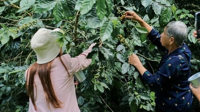 Cách Thái Lan phát triển các mô hình du lịch nông nghiệp là kinh nghiệm giúp Việt Nam tr