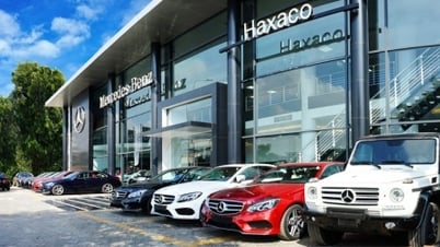 Mercedes-Benz car distributor plans to increase capital to VND1,074 billion