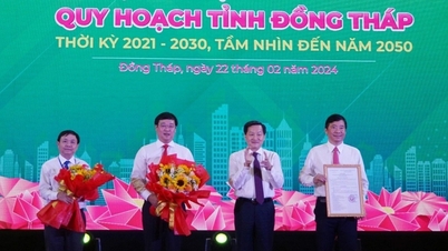 จังหวัดด่งทับจะมี 3 ระเบียงเศรษฐกิจ และ 4 เมืองหลัก