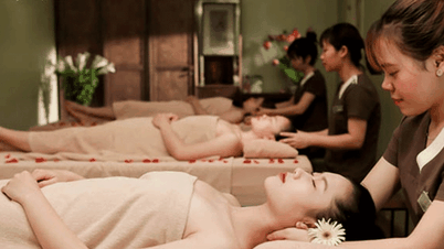 Sen Tài Thu, Sâm Ngọc Linh ảo 'lừa' cả nghìn tỷ dễ dàng: Chung một kịch bản?
