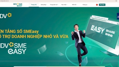 BIDV supports small and medium enterprises owned by women