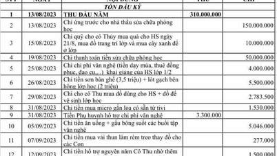 TP HCM bắt đầu kiểm tra thu, chi đầu năm học