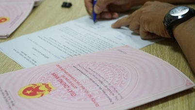 Hướng dẫn thủ tục sang tên sổ đỏ năm 2024 nhanh chóng và đơn giản
