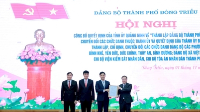 동찌에우시, 합병 후 인력 감축