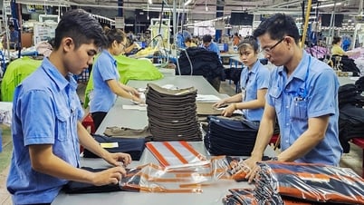 Nhu cầu tài chính xanh là bức tường khổng lồ, nhưng nguồn vốn rót ra như cánh cửa mới hé