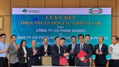 Shinec និង Tien Phong Plastics ចុះកិច្ចព្រមព្រៀងសហប្រតិបត្តិការជាយុទ្ធសាស្ត្រ