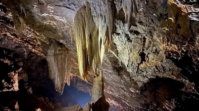 Phát hiện thêm 22 hang động mới ở Phong Nha - Kẻ Bàng