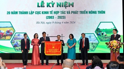 Từ "yếu kém kéo dài", hợp tác xã nông nghiệp đã phát triển, trưởng thành vượt bậc