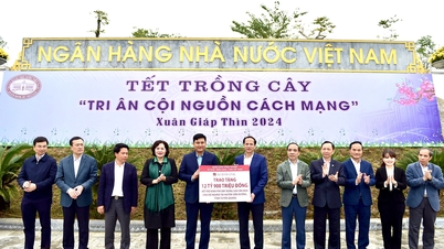 Agribank - Vì tương lai xanh, từ phong trào đến mục tiêu “Phát triển bền vững”
