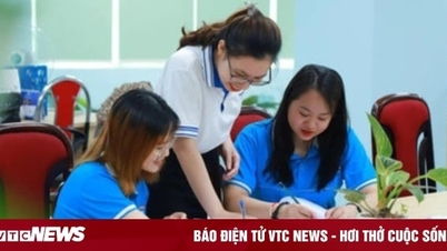 Học tốt tiếng Anh nên chọn học ngành Sư phạm nào?