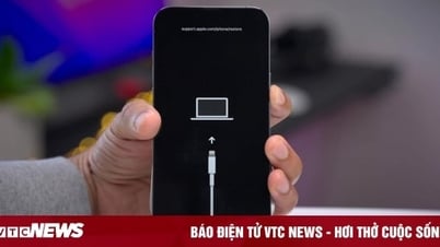 Cách kích hoạt sử dụng chế độ DFU trên iPhone đơn giản nhất