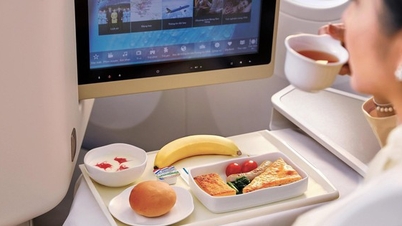 Vietnamese airline wins international award for seat class