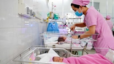 Will regulate the rights of couples and individuals in having children