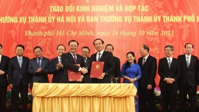 Ho Chi Minh City and Hanoi exchange experiences and comprehensive cooperation in all fields