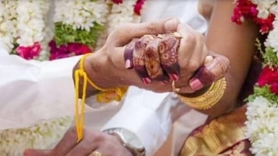 新妻の結婚式の夜、花嫁の家族が食事の提供を遅らせたため、新郎は結婚式をキャンセルした。