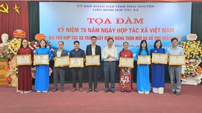 Khen thưởng nhiều HTX tiêu biểu trong phát triển kinh tế tập thể