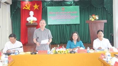 ធ្វើការនៅ Ben Tre ប្រធានសម្ព័ន្ធកសិករវៀតណាម Luong Quoc Doan បានសរសើរក្លឹបកសិករមហាសេដ្ឋី។