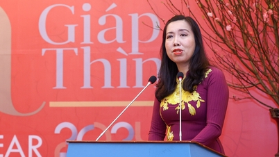 Foreign information helps the international community understand and love Vietnam more.