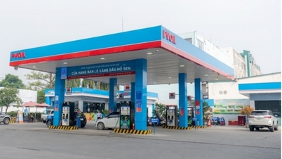 Giá xăng dầu hôm nay 12/11/2024: Tiếp đà giảm sâu
