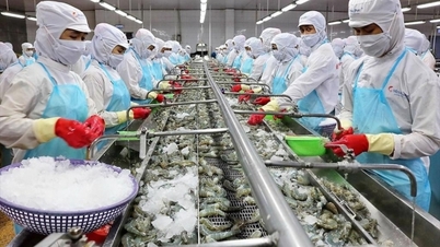 Tháng 1/2024, cả nước có 13,5 nghìn doanh nghiệp thành lập mới