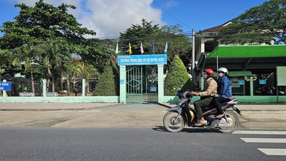 Đề nghị kỷ luật cảnh cáo hiệu trưởng vì che giấu việc học sinh đánh nhau