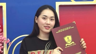 Putting aside their dream university degrees, 3 female graduates write applications to join the army